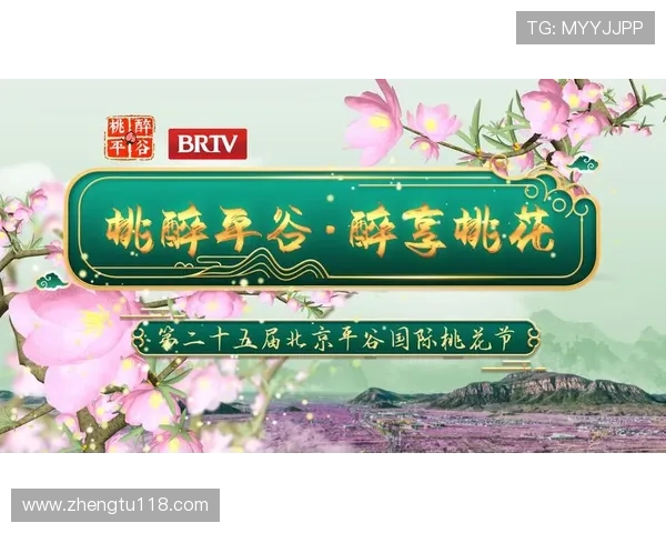 北京卫视同步直播，精彩节目不容错过